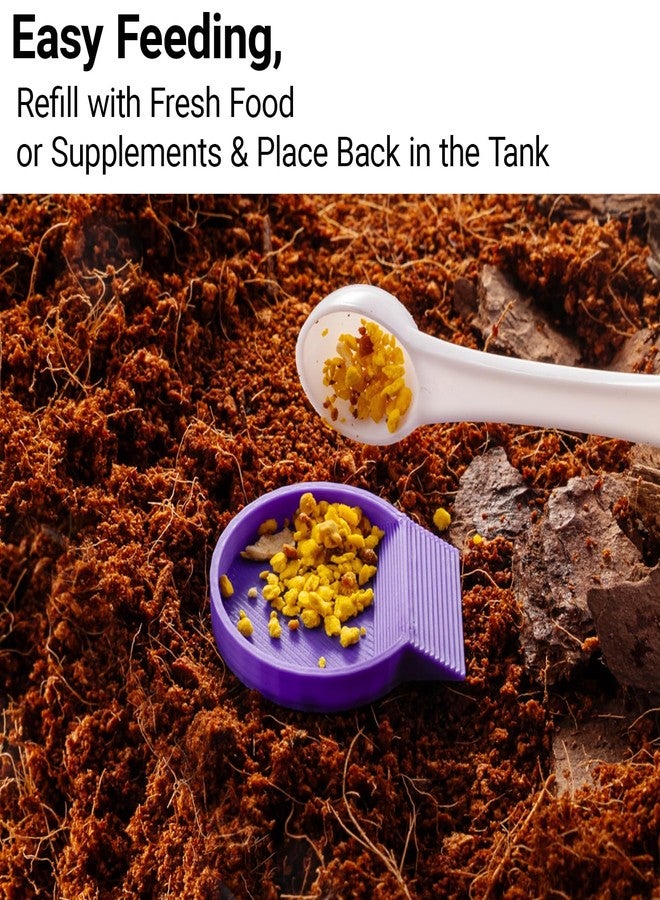 HERPDEN 12-Pack Feeding Dish for Invertebrates - Feeder Bowls for Dubia Roaches, Isopods, Springtails, Superworms, Small Insects & More - Mini Bowls for Reptile Food & Supplements - Image 4